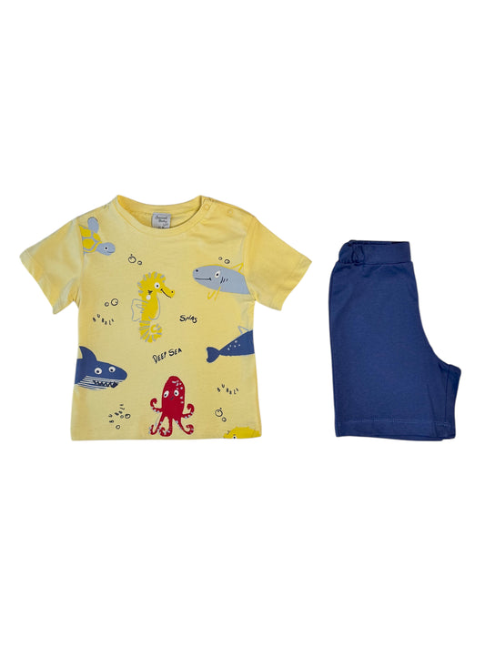 Sea Set